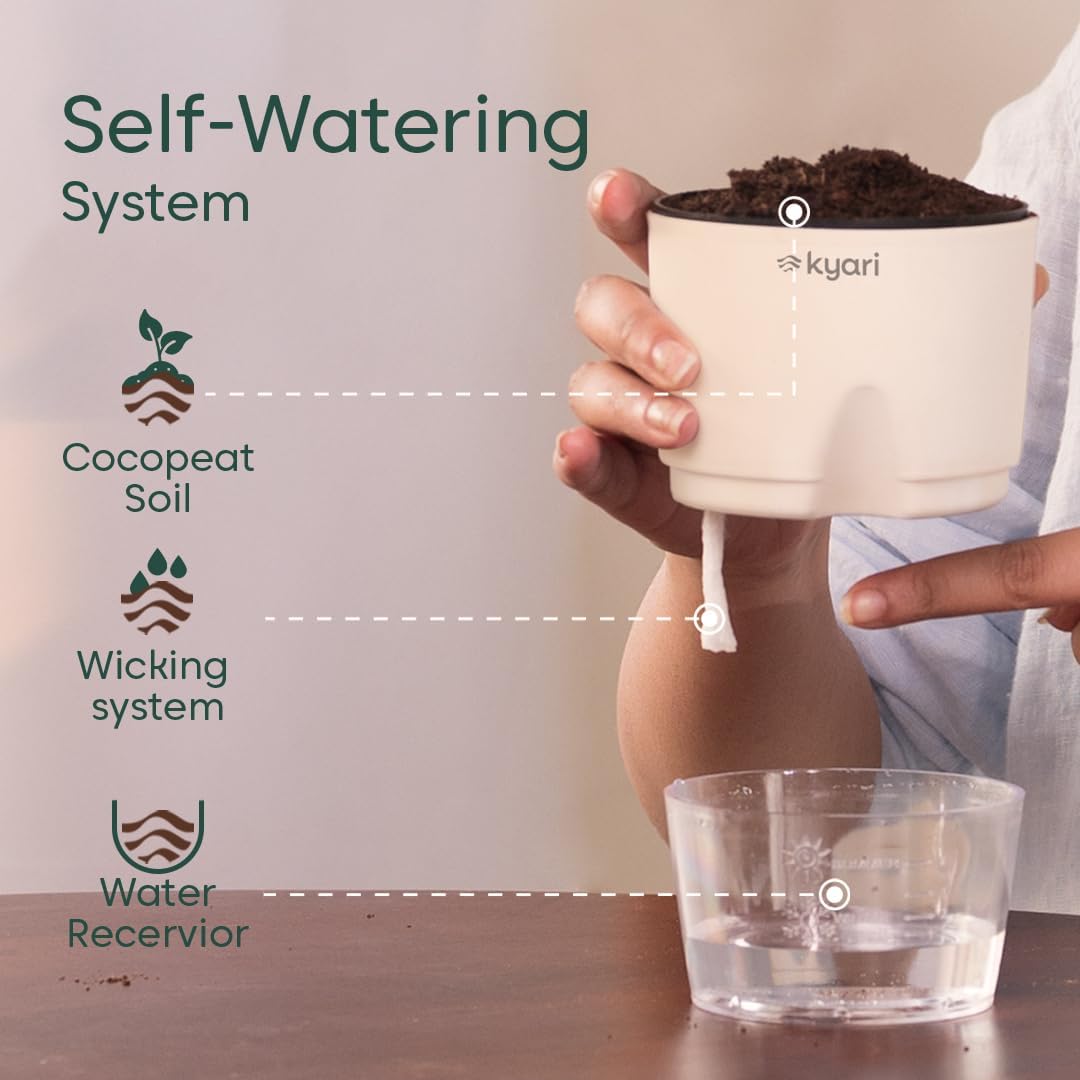 Seeds Ville 4 Indoor Plant Set Self-Watering Pots Cream