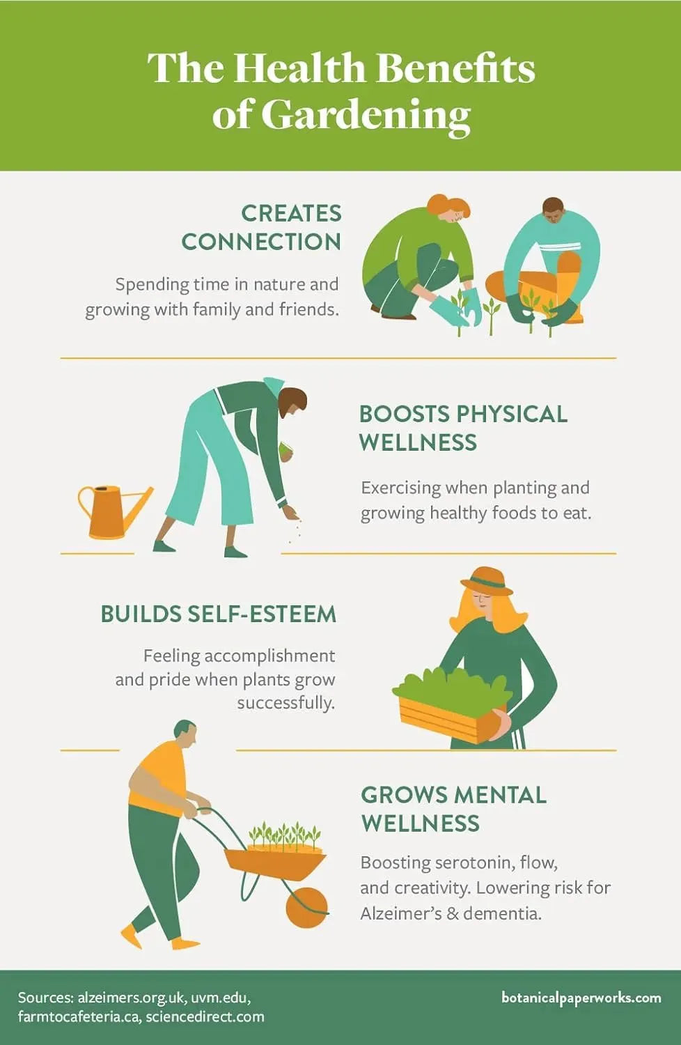 Hybrid Dwarf Fruit Seeds Combo Pack Apple, Grape, Guava, Orange 5 Seeds Each- Grow Indoor & Outdoor - Seeds Ville