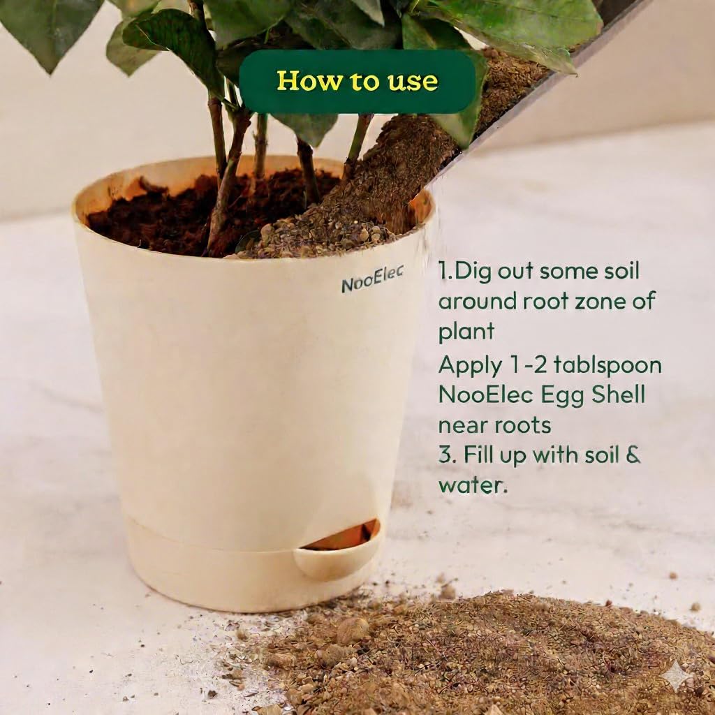 Eggshell Powder for Plants 500g – Organic Calcium Supplement & Soil Conditioner for Tomatoes, Vegetables, Roses, Flowering & Indoor Plants | Prevents Blossom-End Rot & Boosts Roots