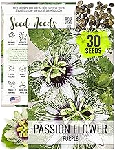 https://images-cdn.ubuy.co.in/69739e8e88a1c988bf0f0410-seed-needs-purple-passion-flower-seeds.jpg