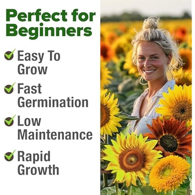 https://image-cdn.ubuy.com/home-grown-sunflower-seeds-mix-pack/400_400_100/69b60ed8f2eb9ef364026e34.jpg