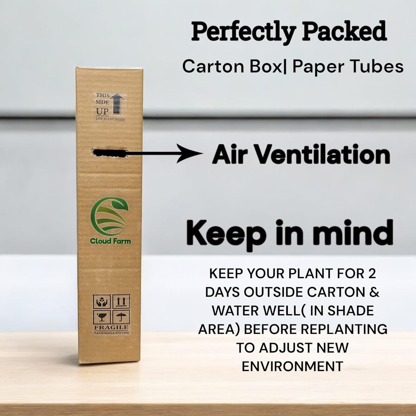 Kagoji Lemon Live Fruit Plant & Tree (1.5-3.5 Ft Hight) For Home Gardening (Hybrid, Pack Of 1),CF_06