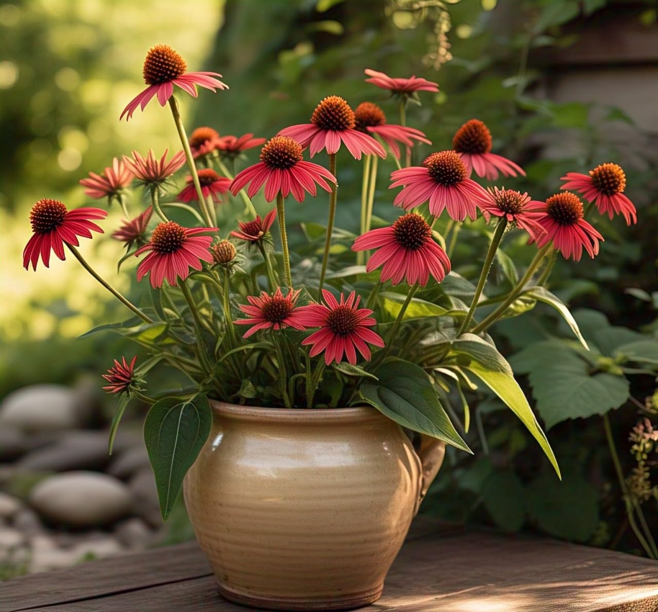 60+ Echinacea Coneflower Wildflower Seeds - Easy to Grow, Grow All Year, Low Care (RED)
