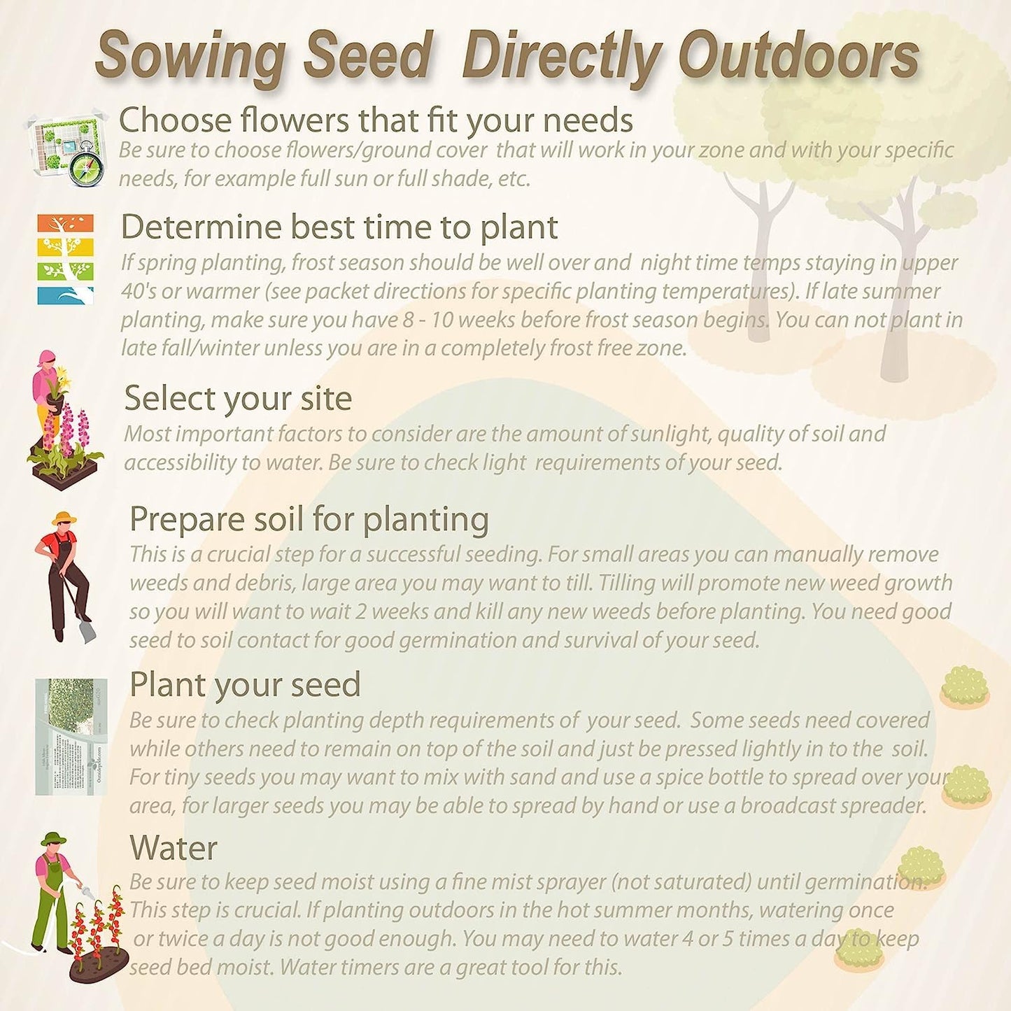 35+ Seeds- Ephedra Sinica Plant Seeds For Planting - Seeds of the Gods