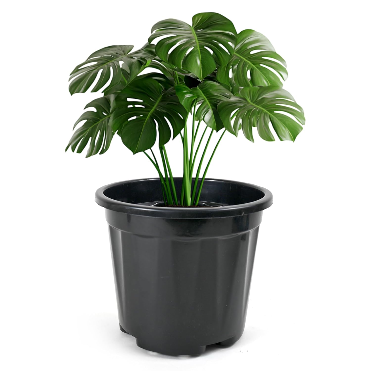 Nursery Seedlings Pots - 8In Dia, 12Pcs Set, Black - Garden Plant Pots for Indoors & Outdoors | Planting Containers for Home Plants