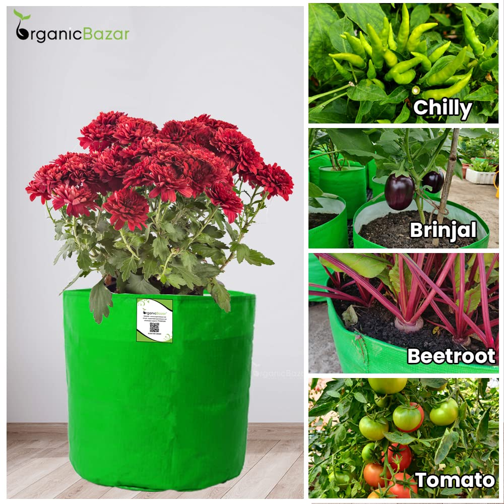 Seeds Ville HDPE Round Grow Bag 30x30 cm