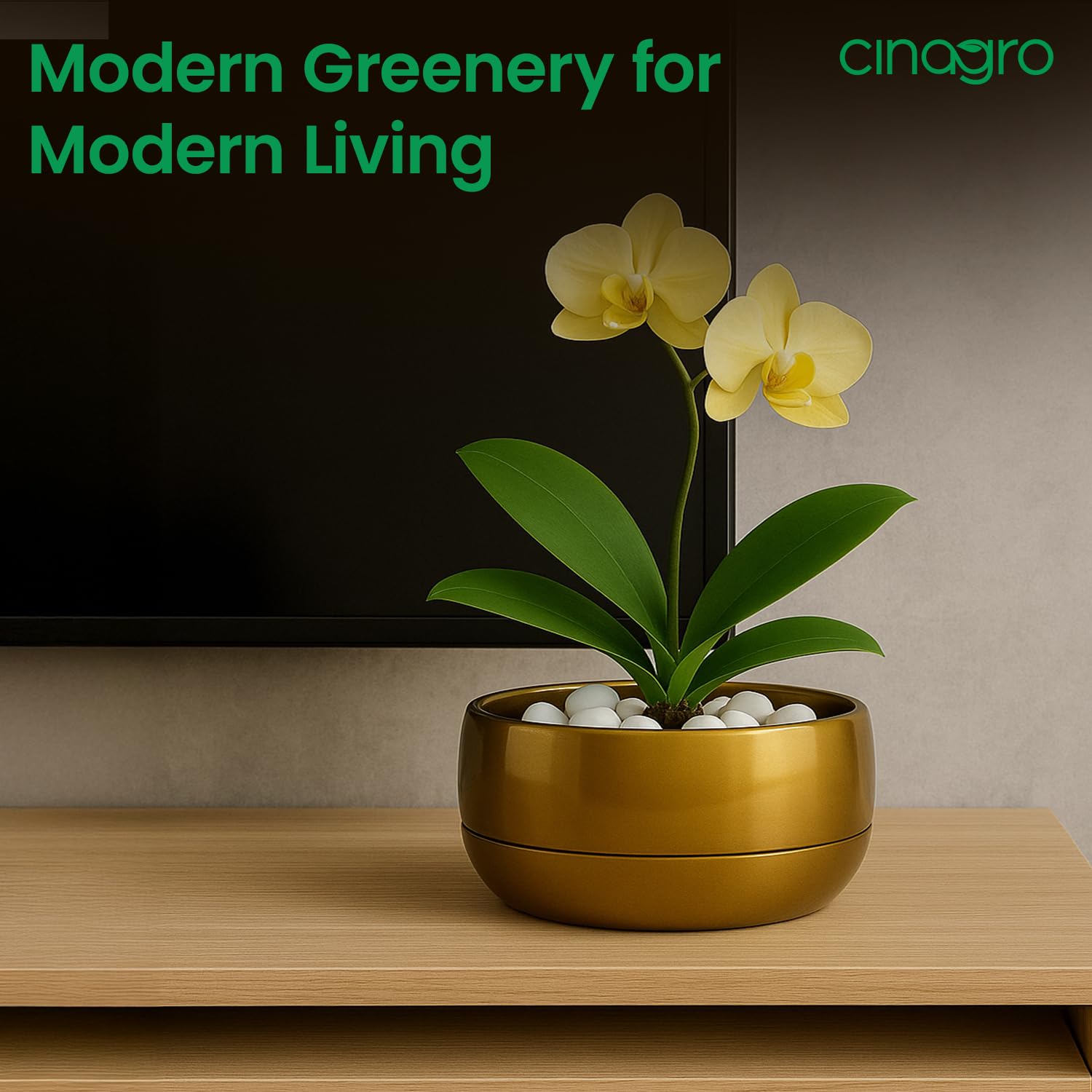 CINAGRO Metal Planter Pot for Indoor Plants, Round Decorative Flower Pot, Rust-Resistant, Modern Plant Holder for Home, Balcony, Office (13.97 x 7.62 cm, Pulse Nest - Gold)