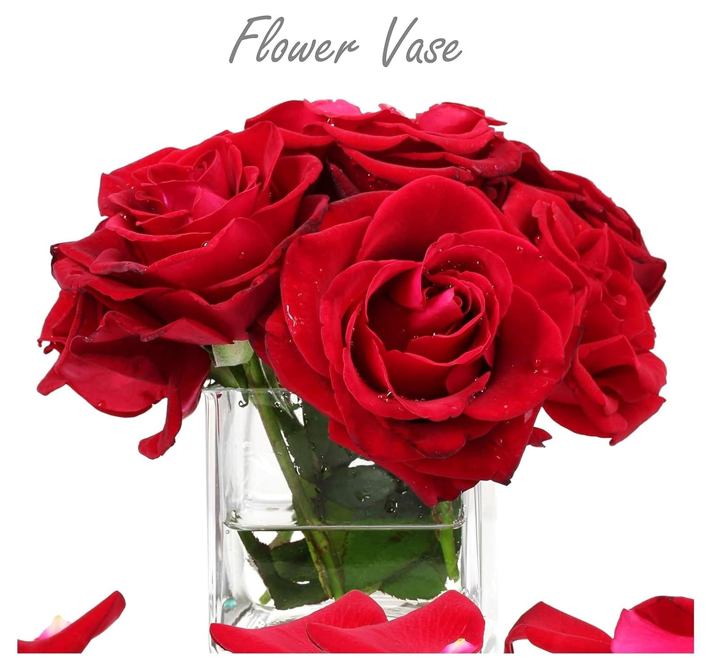 SPHINX Square Decorative Glass Vase for Flowers Live Plants Bamboo Money Plants Home Decor Office Living Room Table Decorations, Vases for Home Decor,Modern Glass Vase, Gift, VASE ONLY NO Flowers -