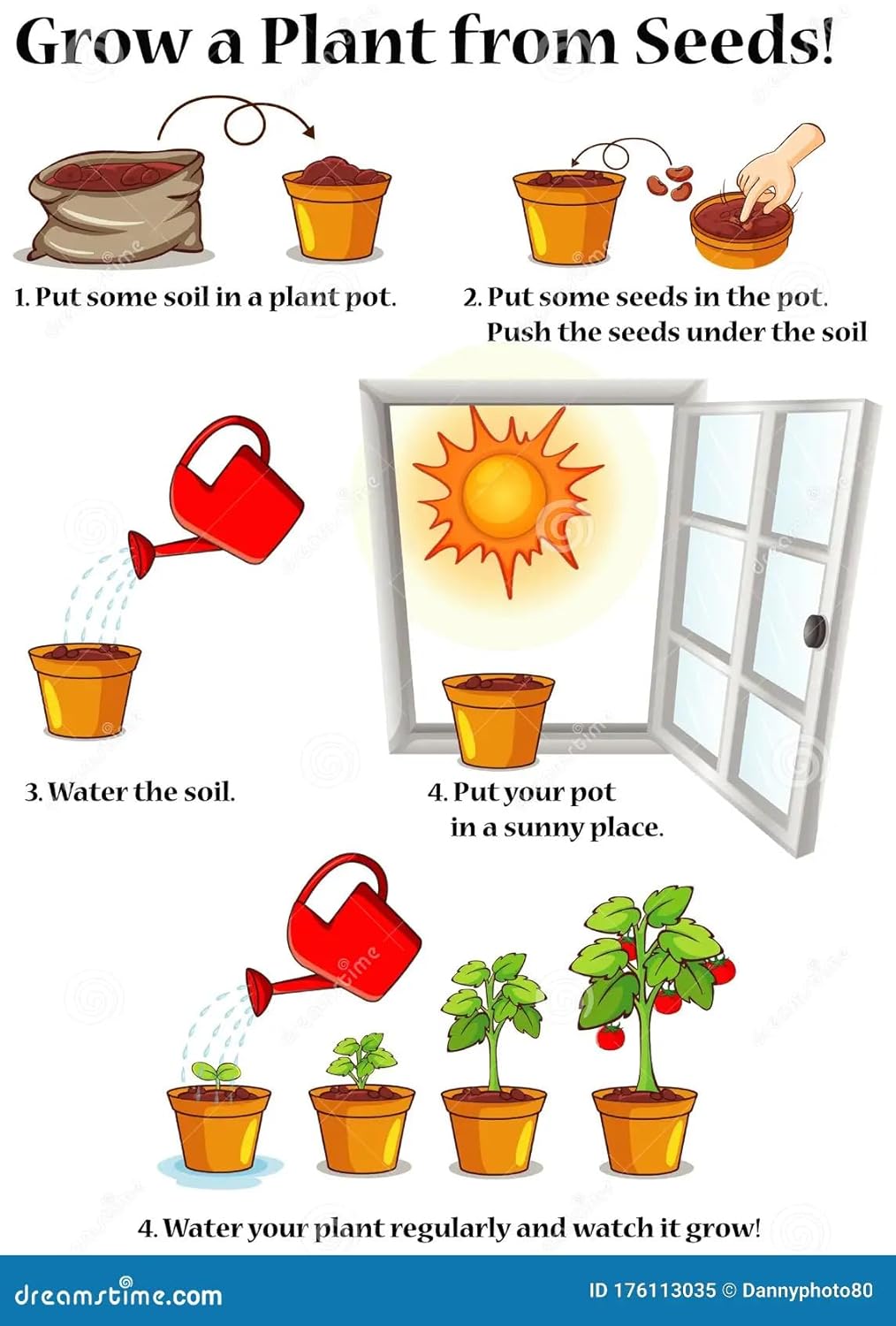 BlimBurn Bowl Lotus Flower Seeds Mix - 50 Seeds Pack, Easy Care, Indoor/Outdoor Growing, Unique Hybrid Varieties - Seeds Ville