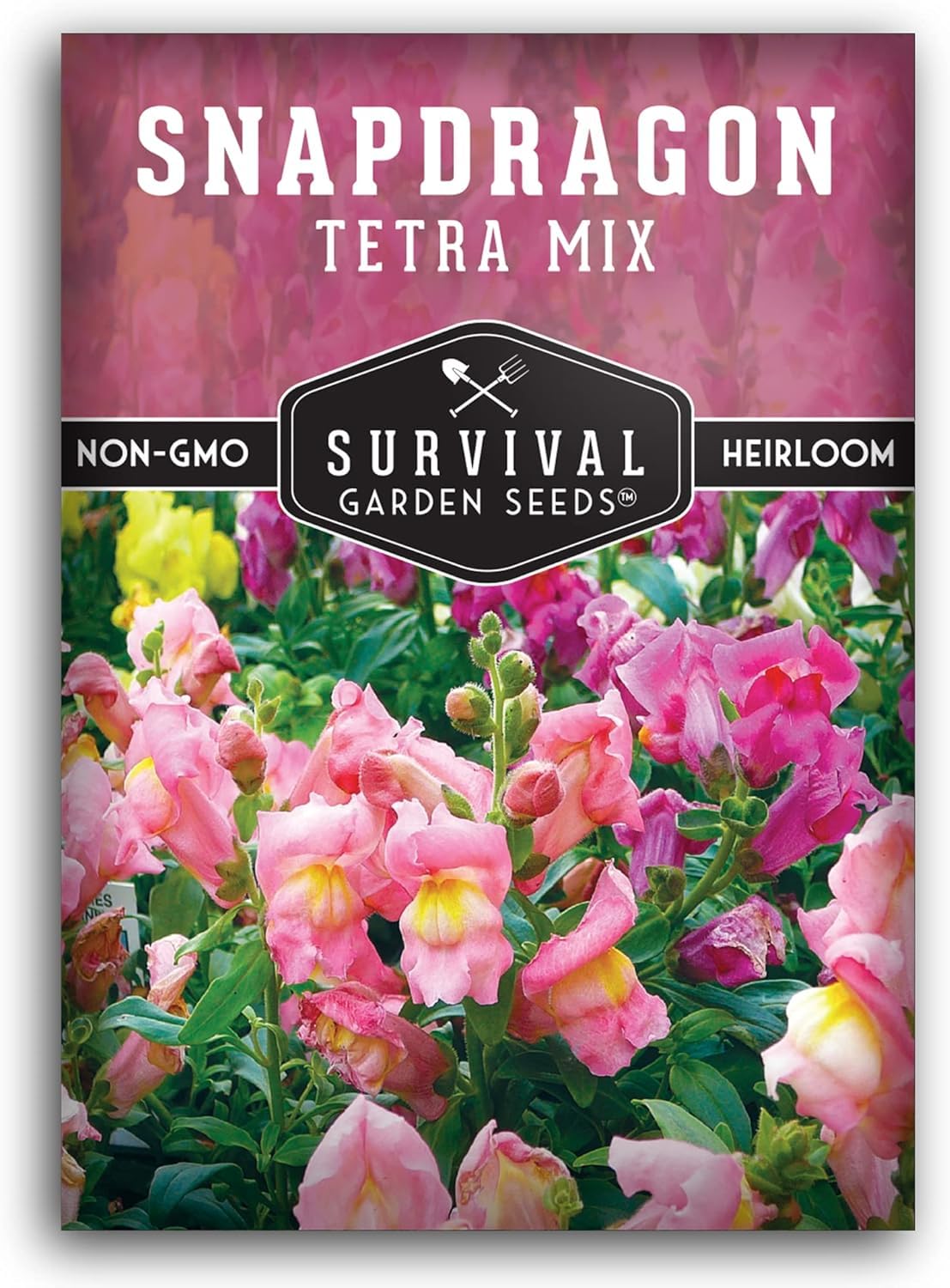 100+ SEEDS- Snapdragon Tetra Mix Flower Seeds for Planting - Non-GMO Heirloom Variety - Seeds Ville