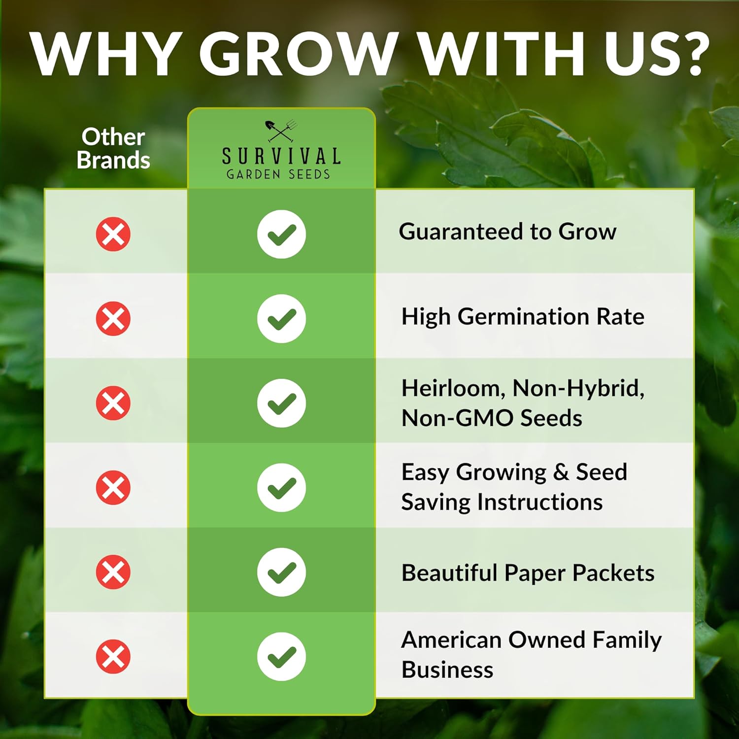 50+ SEEDS- Chocolate Cherry Sunflower Seed for Planting - Non-GMO Heirloom Variety