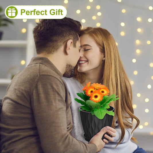 Plastic 6.2 inch Plant Pots with Drainage Holes and Tray Saucers | Flower Pots for Home Planters, Terrace, Balcony Dcor, Home Indoor and Outdoor Gardening Plants, Pack of 5 (Multicolor)