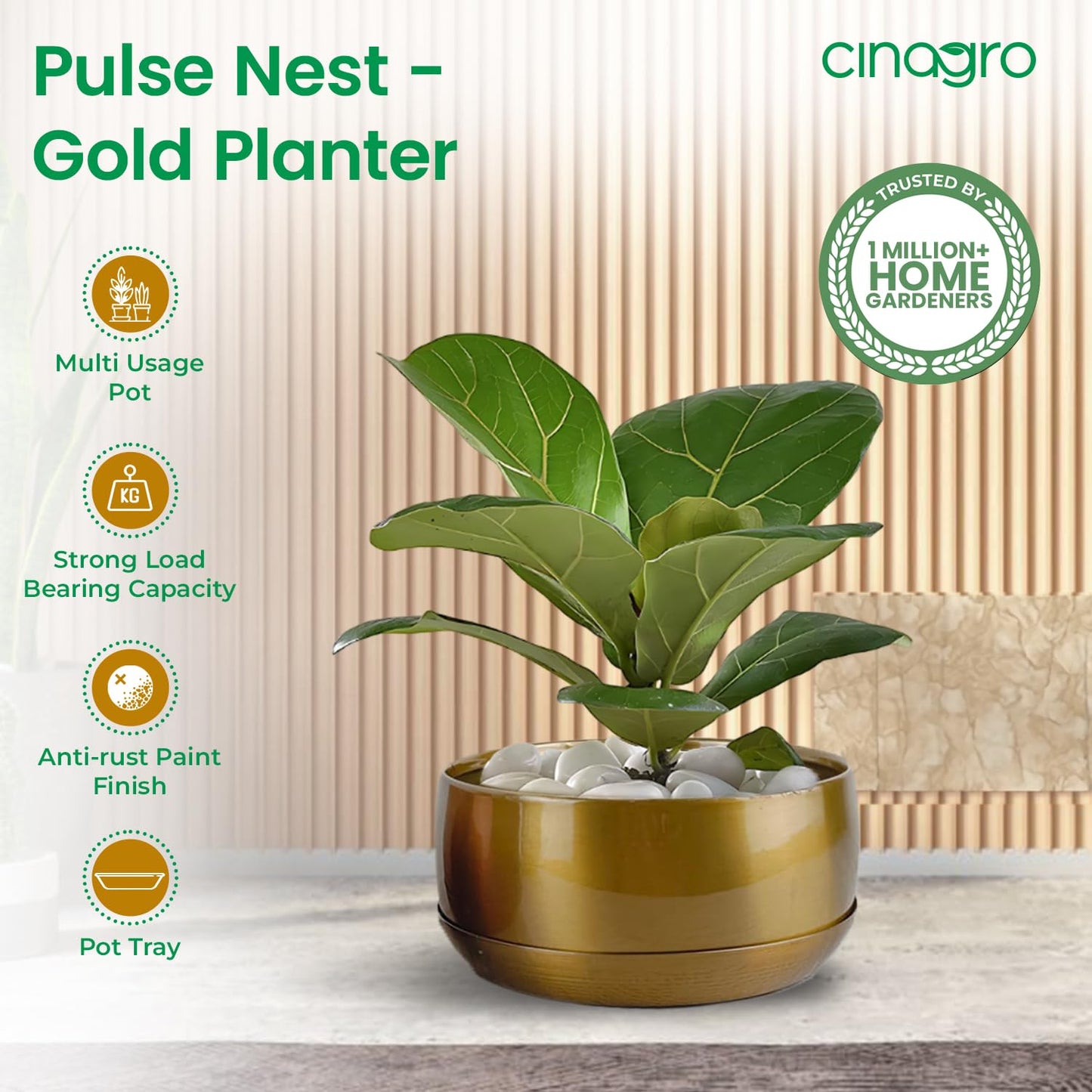 CINAGRO Metal Planter Pot for Indoor Plants, Round Decorative Flower Pot, Rust-Resistant, Modern Plant Holder for Home, Balcony, Office (13.97 x 7.62 cm, Pulse Nest - Gold)