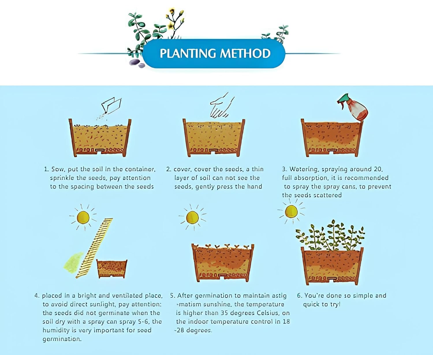 Hybrid Dwarf Fruit Seeds Combo Pack Apple, Grape, Guava, Orange 5 Seeds Each- Grow Indoor & Outdoor - Seeds Ville