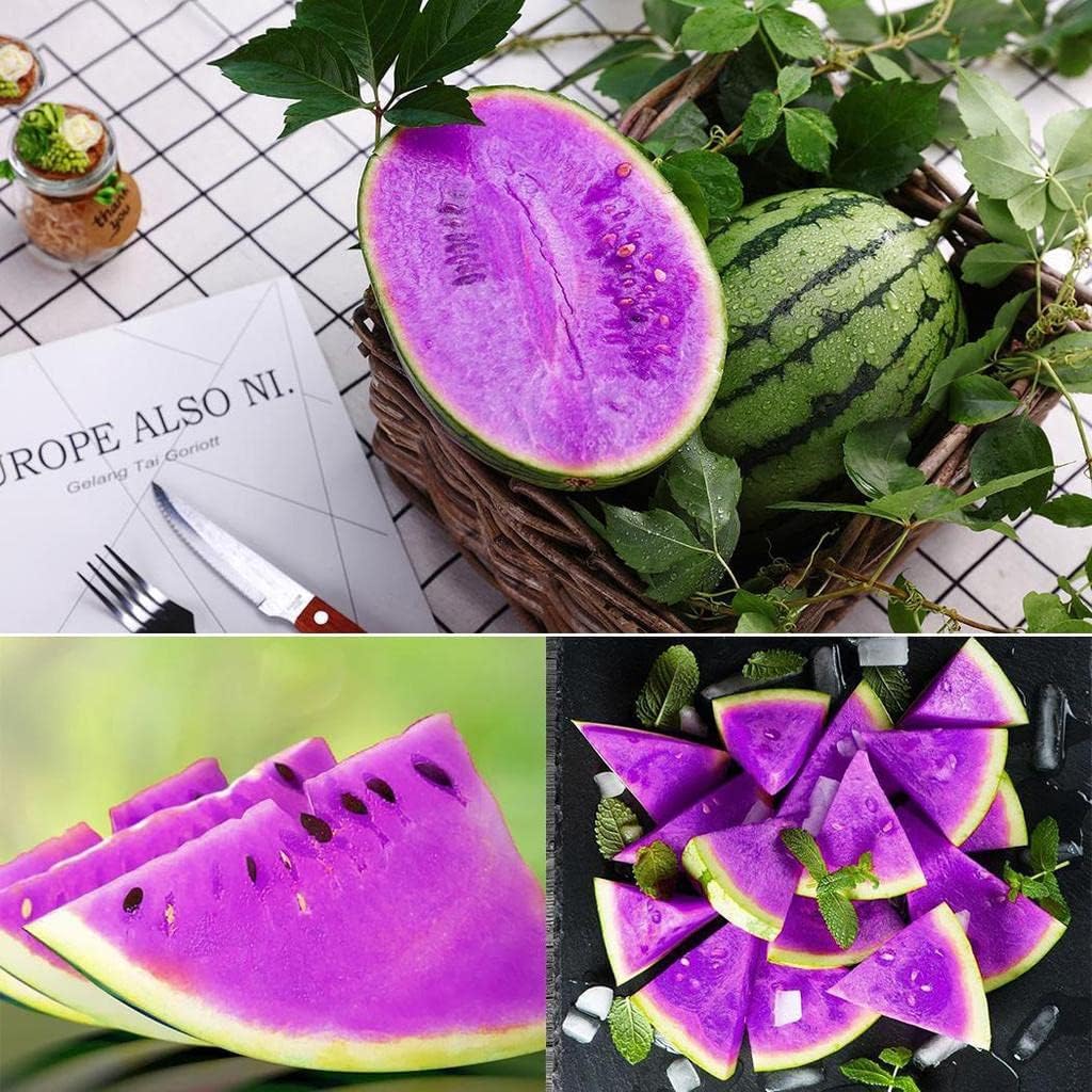 15+ SEEDS-Year-Round Growing Purple Watermelon Seeds - Easy & Low Maintenance