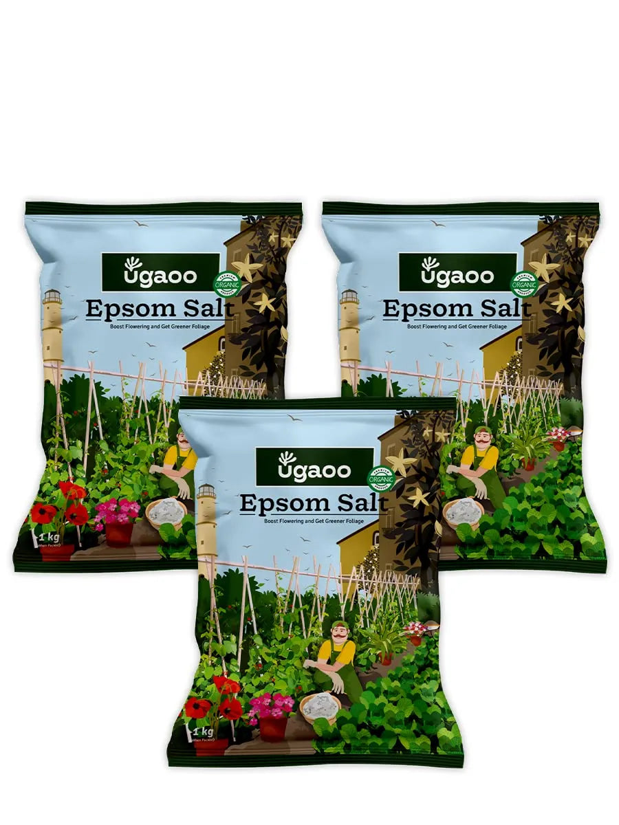 Ugaoo Epsom Salt for Plants Growth - Magnesium Sulphate Organic Fertilizer - 1 Kg |Powder - Seeds Ville