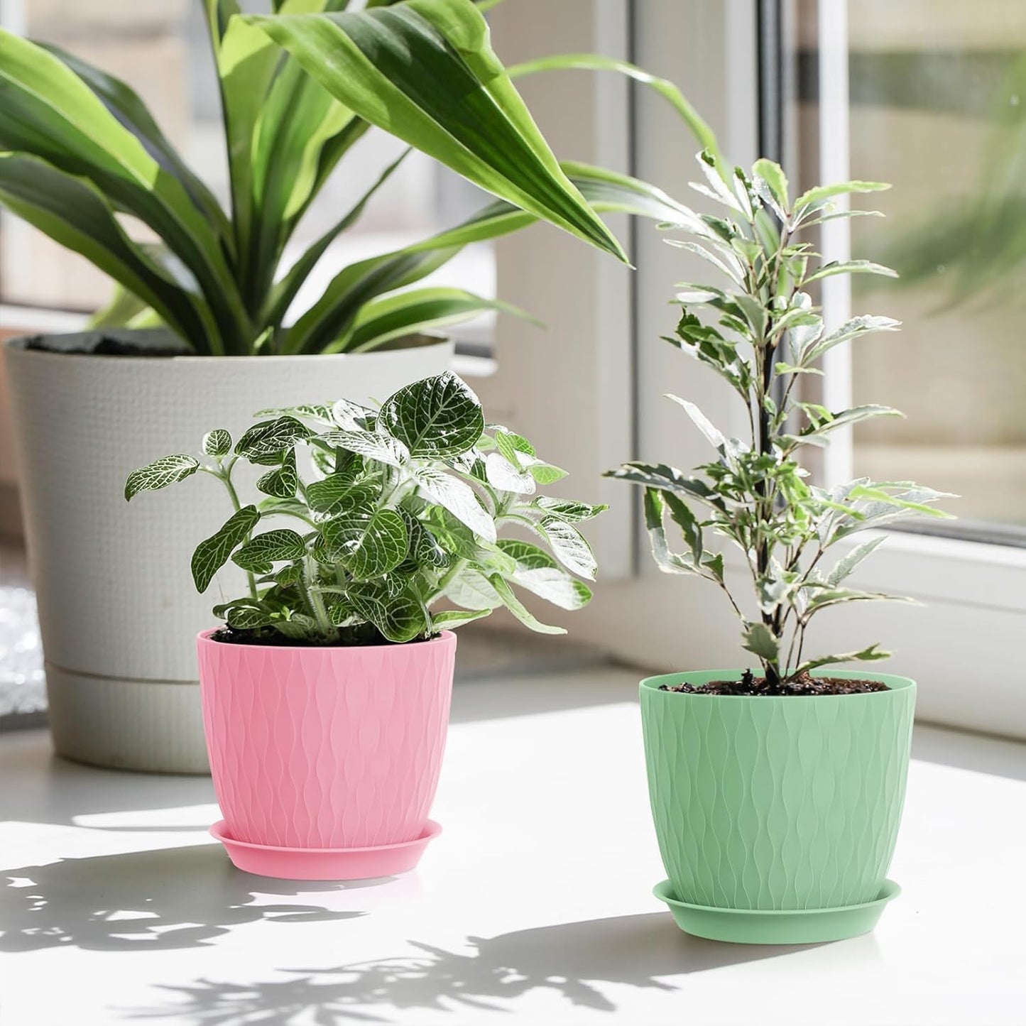 Eightiz (Pack of 5 6 Inch Plastic Flower Pots for Indoor & Outdoor Terrace,Garden Plants Decorative Planters with Drainage Holes & Matching Saucers Durable & Lightweight (Multicolour)