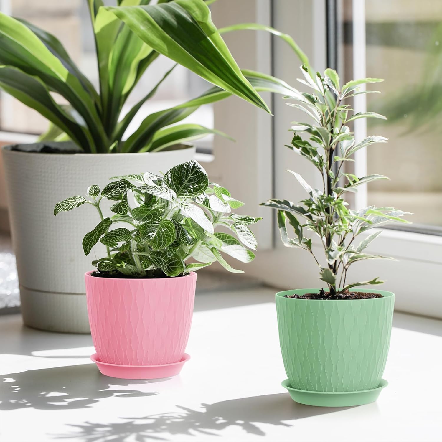 Eightiz (Pack of 5 6 Inch Plastic Flower Pots for Indoor & Outdoor Terrace,Garden Plants Decorative Planters with Drainage Holes & Matching Saucers Durable & Lightweight (Multicolour)