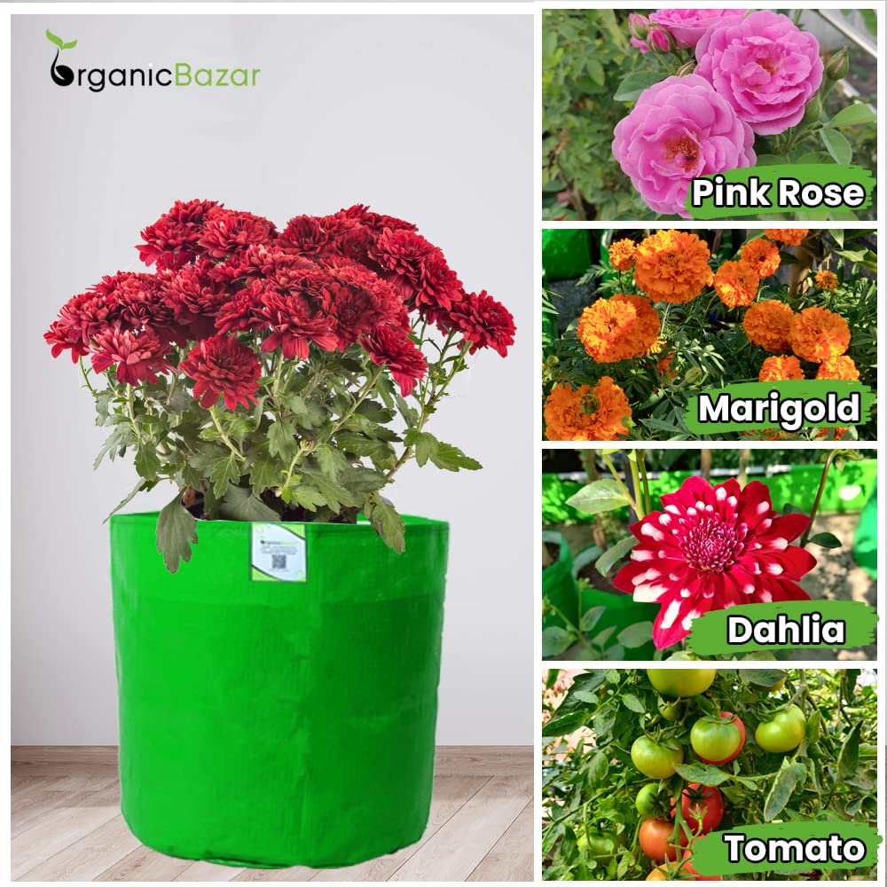 Seeds Ville Round HDPE Gardening Grow Bag