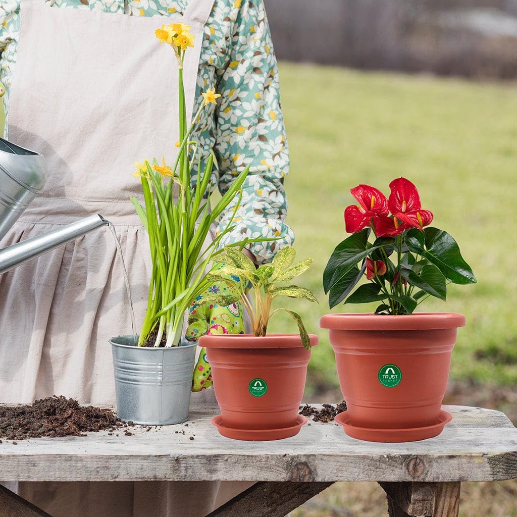 TrustBasket Terracotta pots with Bottom Plates - 3 Pcs (6 inch) | Gamla for Plants with Saucer | Pots and planters with Tray | Garden pots & Bottom Plates