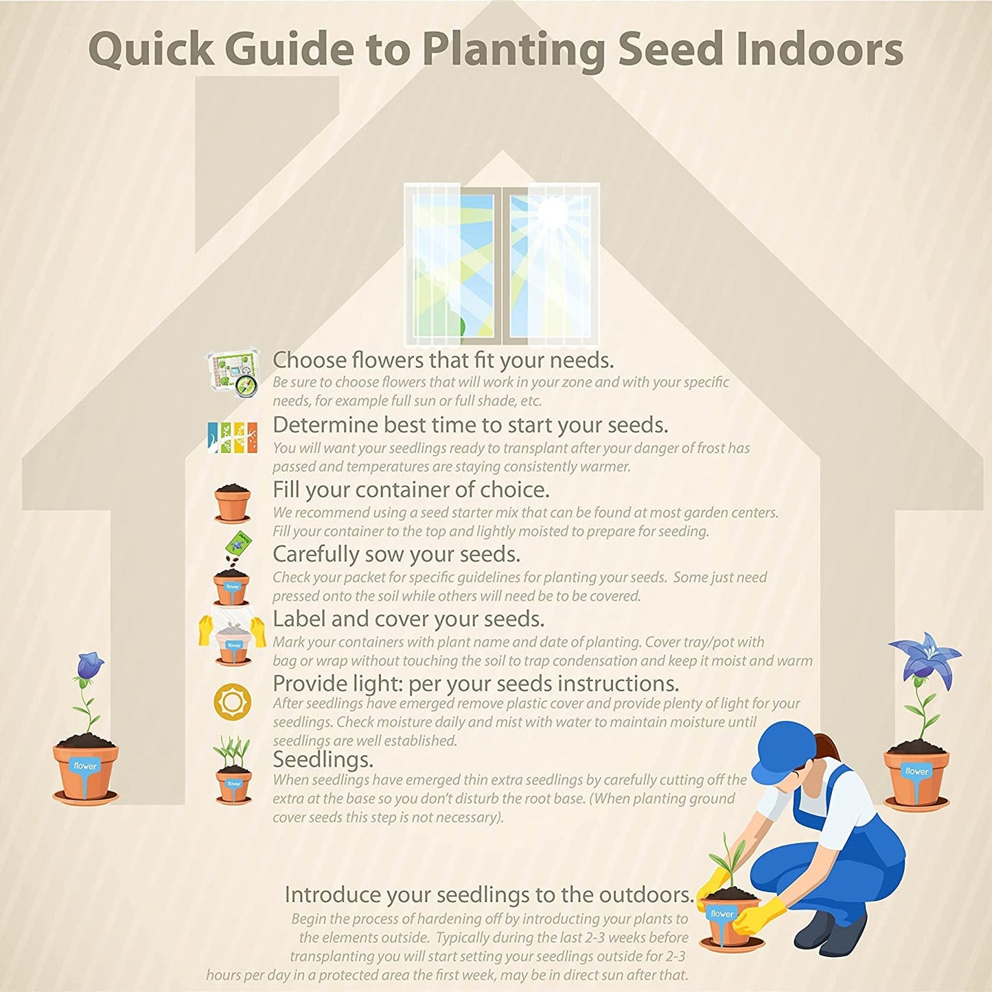 Seeds Ville- 35 Seeds- Cranberry Fruit Organic Seeds For Plantinh HOME GARDEN