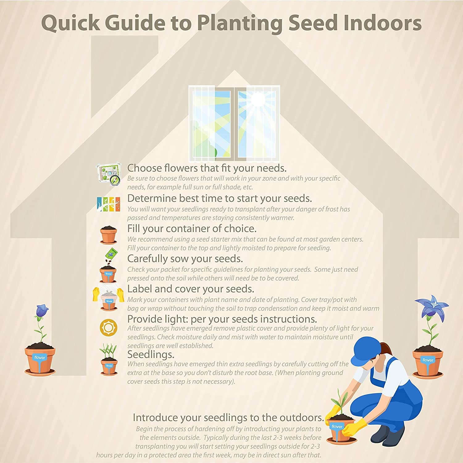 Seeds Ville- 35 Seeds- Cranberry Fruit Organic Seeds For Plantinh HOME GARDEN