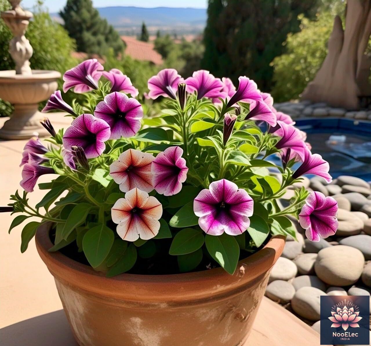 50+ SEEDS- Hybrid Flower Seeds For Planting - Grow All Year Round (Petunia Mix Hybrid) - Seeds Ville