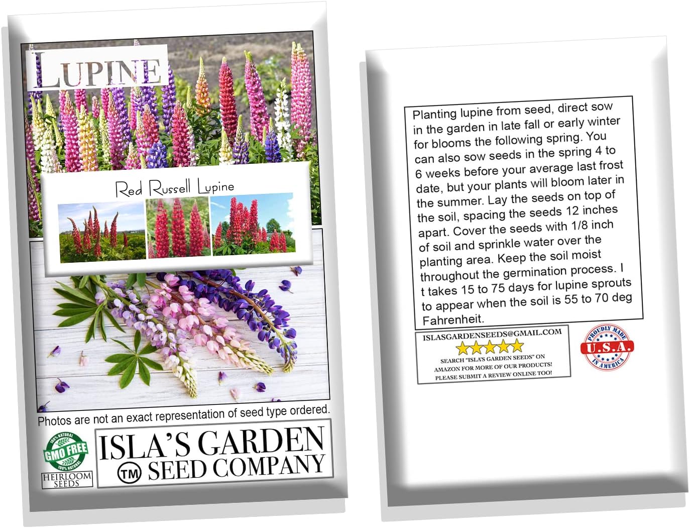 Red Russell Lupine Flower Seeds for Planting, 25+ Seeds Per Packet, (Isla's Garden Seeds), Non GMO & Heirloom Seeds, Botanical Name: Lupinus Polyphylus, Great Wildflower for Landscapes