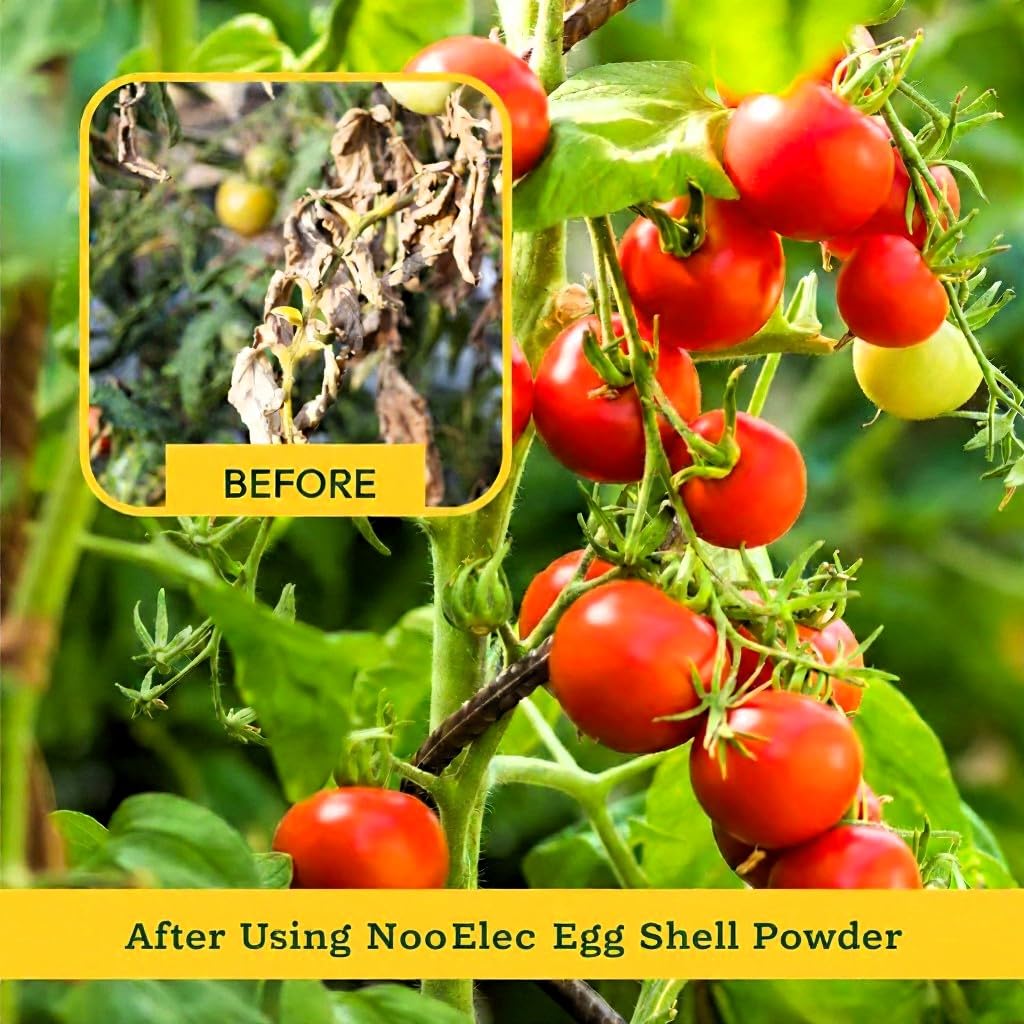 Eggshell Powder for Plants 500g – Organic Calcium Supplement & Soil Conditioner for Tomatoes, Vegetables, Roses, Flowering & Indoor Plants | Prevents Blossom-End Rot & Boosts Roots