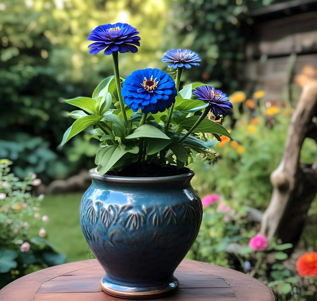 blue zinnia flower seeds Earth Hopper 50+ SEEDS- Compact Zinnia Flower Hybrid Seeds- All Year Growing & Low Maintenance