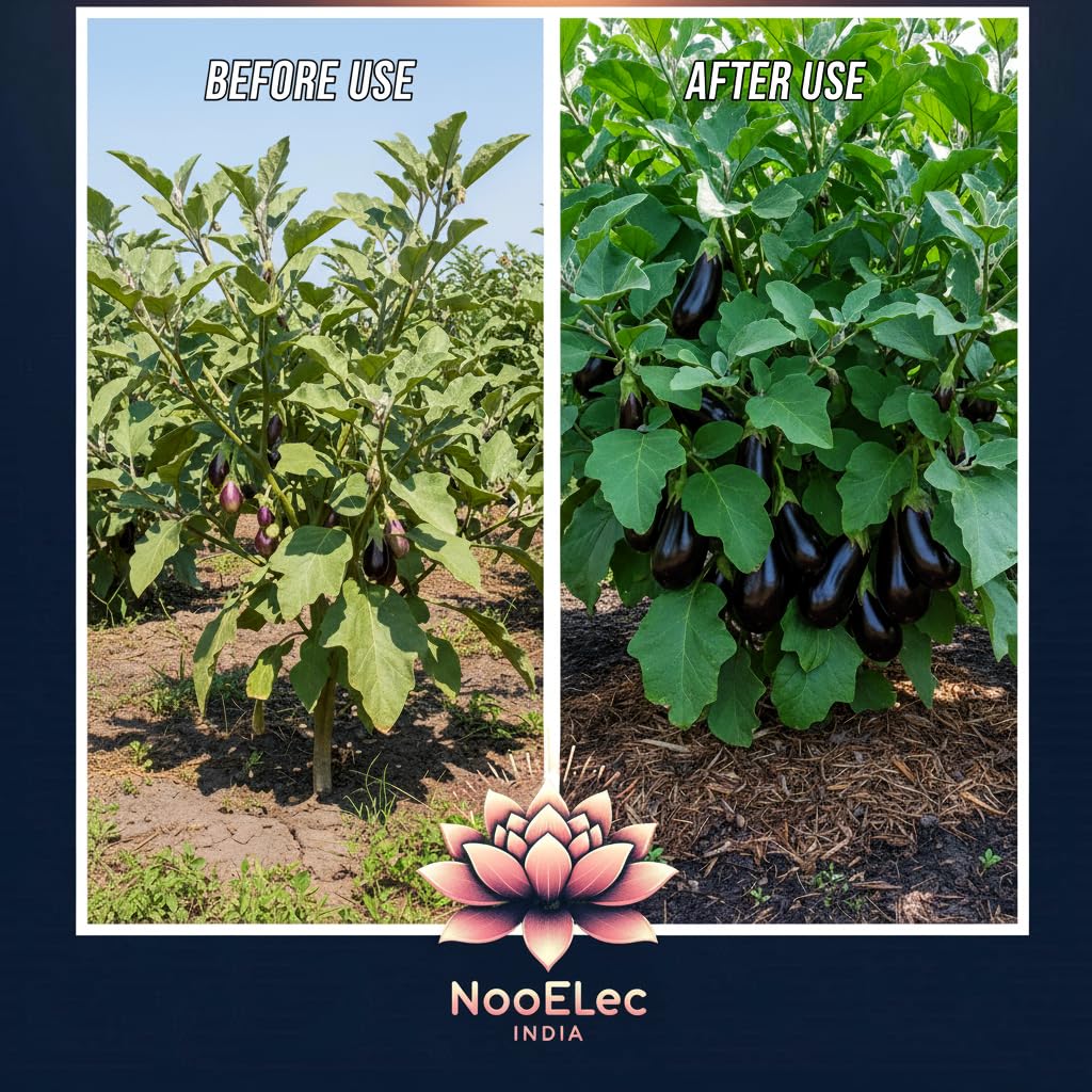 All Vegetables Plant Food Fertilizer Pack | 2X Yield Formula, Disease Protection, Healthy Roots | With Power of Neem & Mycorrhiza (1 KG) - Seeds Ville