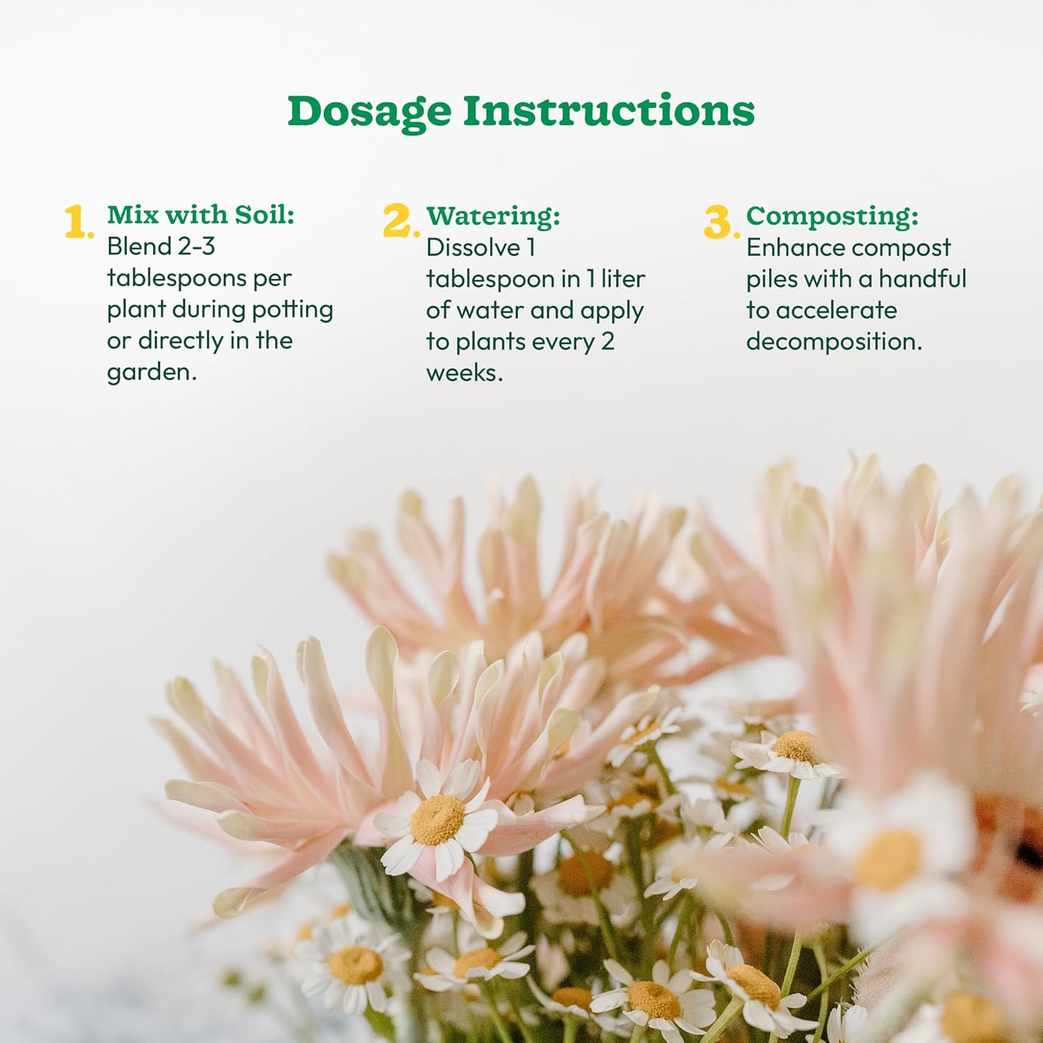 UGAOO Mustard Oil Cake Powder for Healthy Plants And Soil - 1 Kg