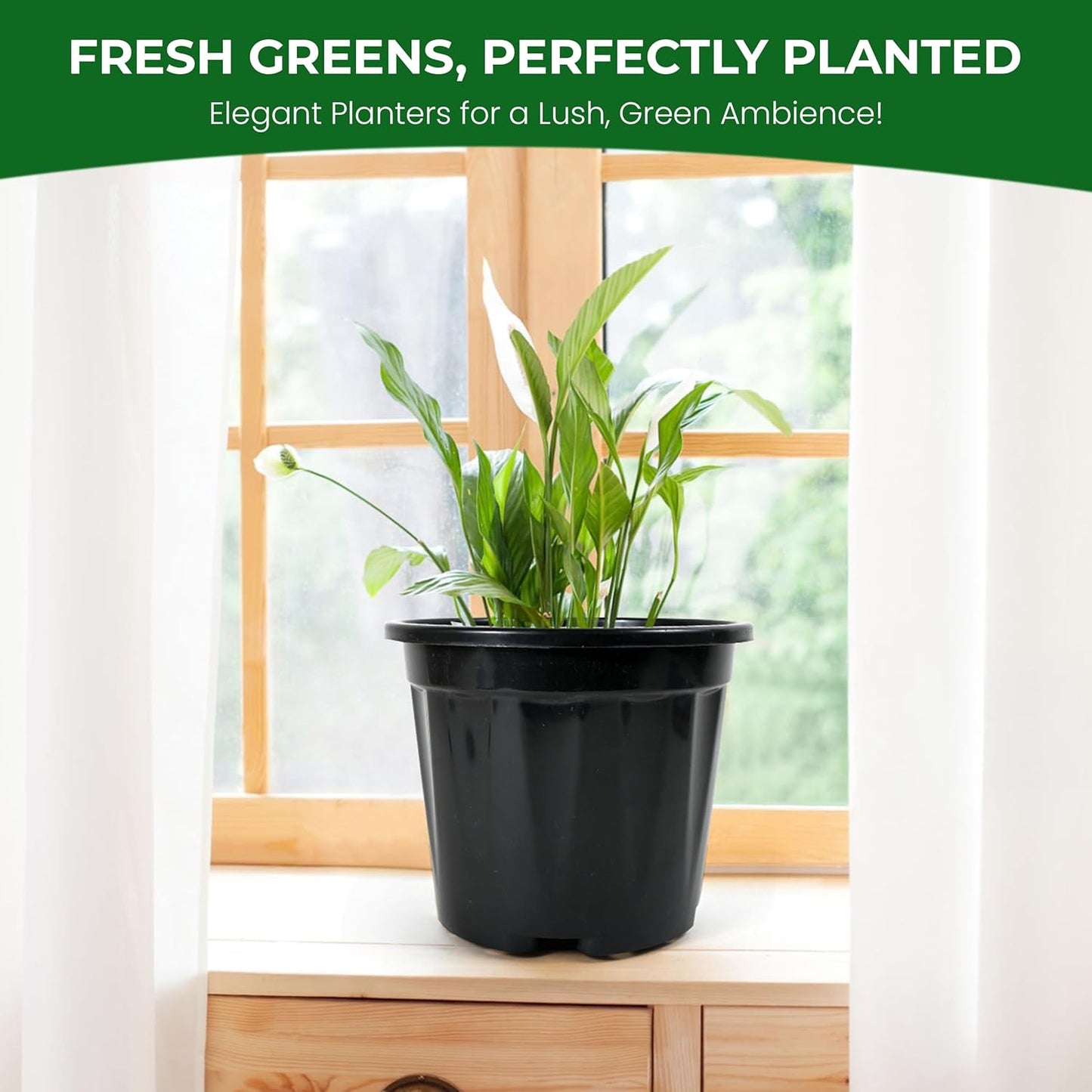 Nursery Seedlings Pots - 8In Dia, 12Pcs Set, Black - Garden Plant Pots for Indoors & Outdoors | Planting Containers for Home Plants