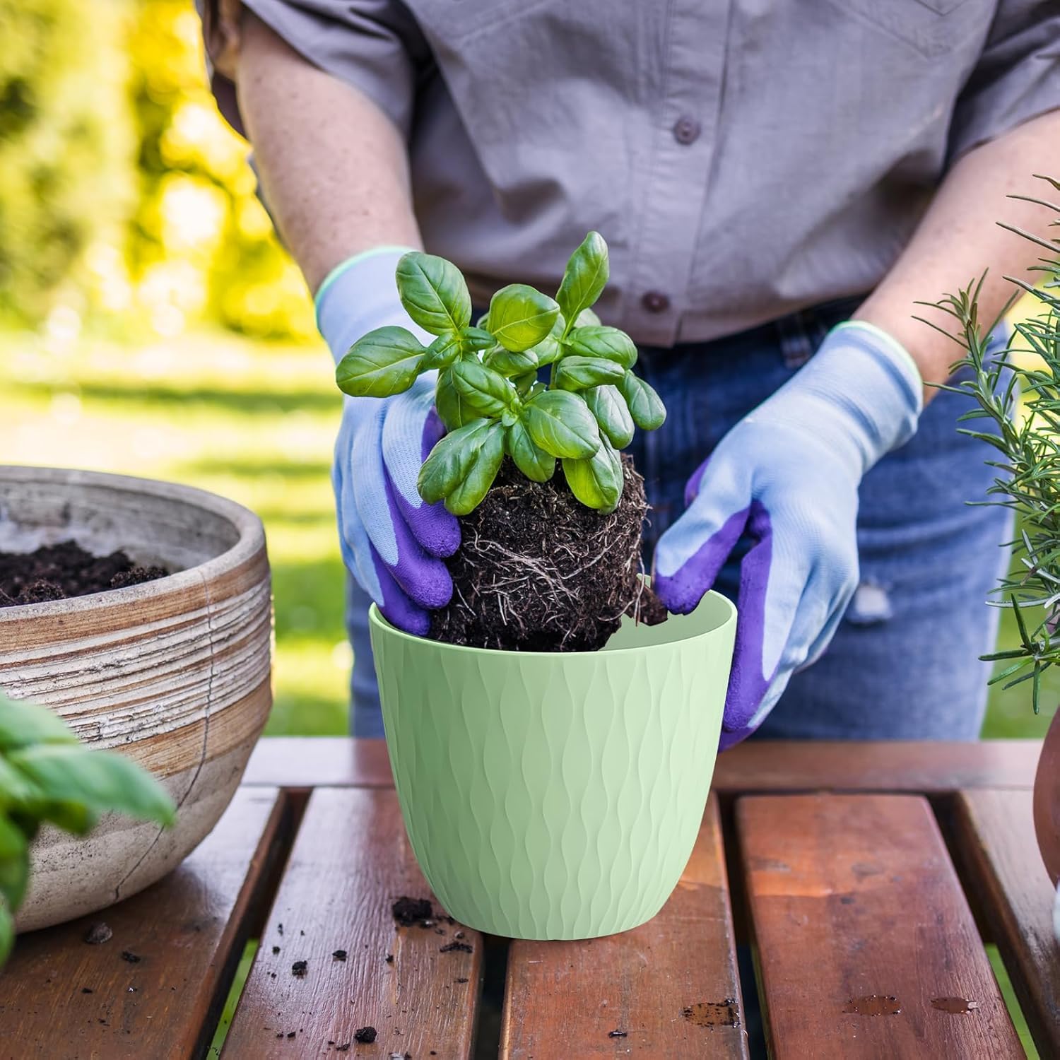 Eightiz (Pack of 5 6 Inch Plastic Flower Pots for Indoor & Outdoor Terrace,Garden Plants Decorative Planters with Drainage Holes & Matching Saucers Durable & Lightweight (Multicolour)