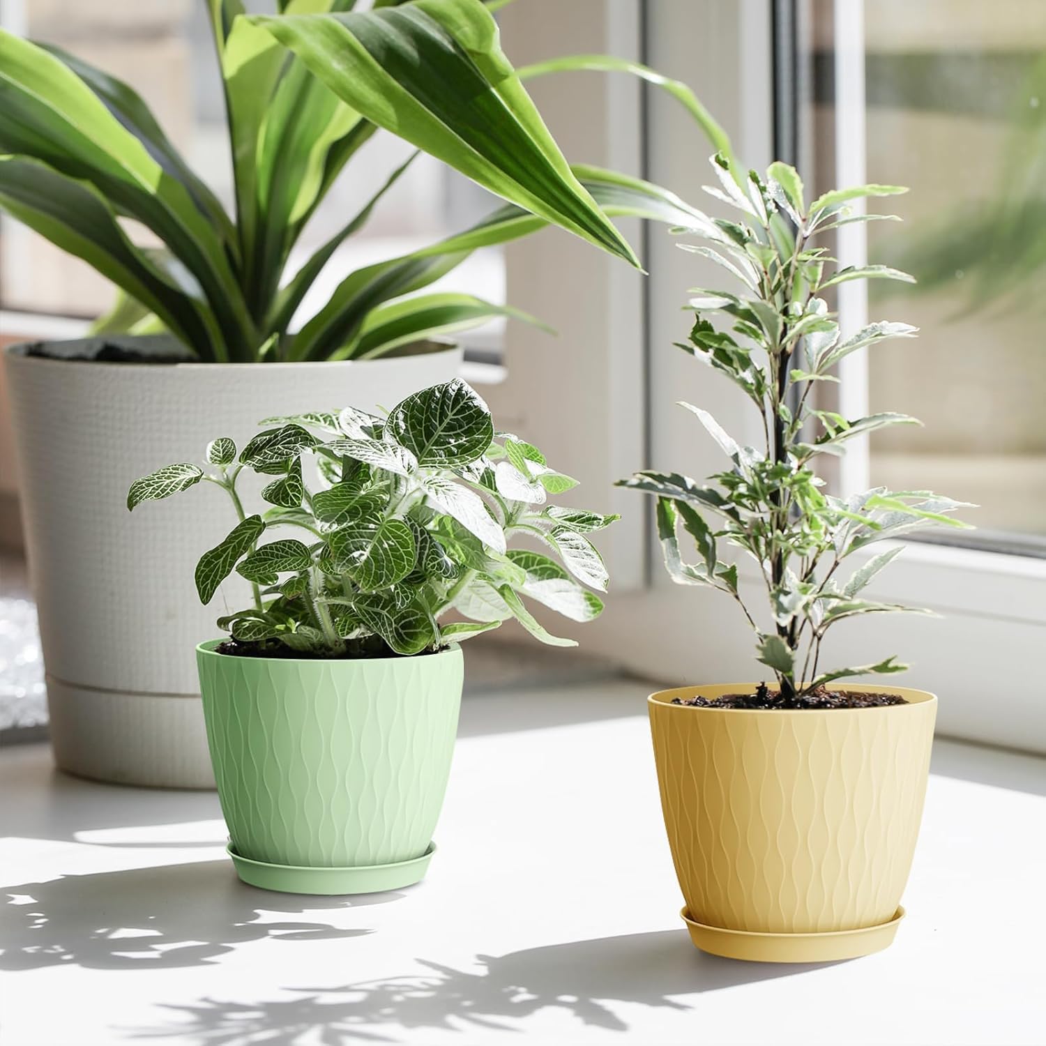 Eightiz (Pack of 5 6 Inch Plastic Flower Pots for Indoor & Outdoor Terrace,Garden Plants Decorative Planters with Drainage Holes & Matching Saucers Durable & Lightweight (Multicolour)