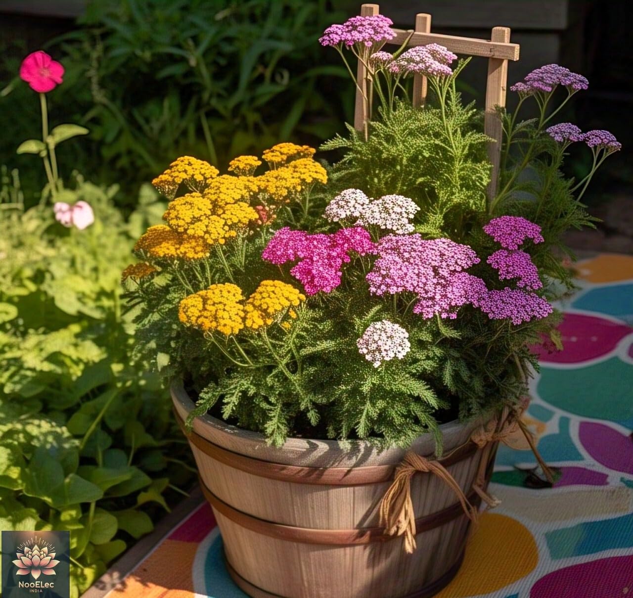 100+ SEEDS- All Seasons Yarrow Flower Mix Seeds - Easy to Grow, Year-Round Bloom, Vibrant Colors - Seeds Ville