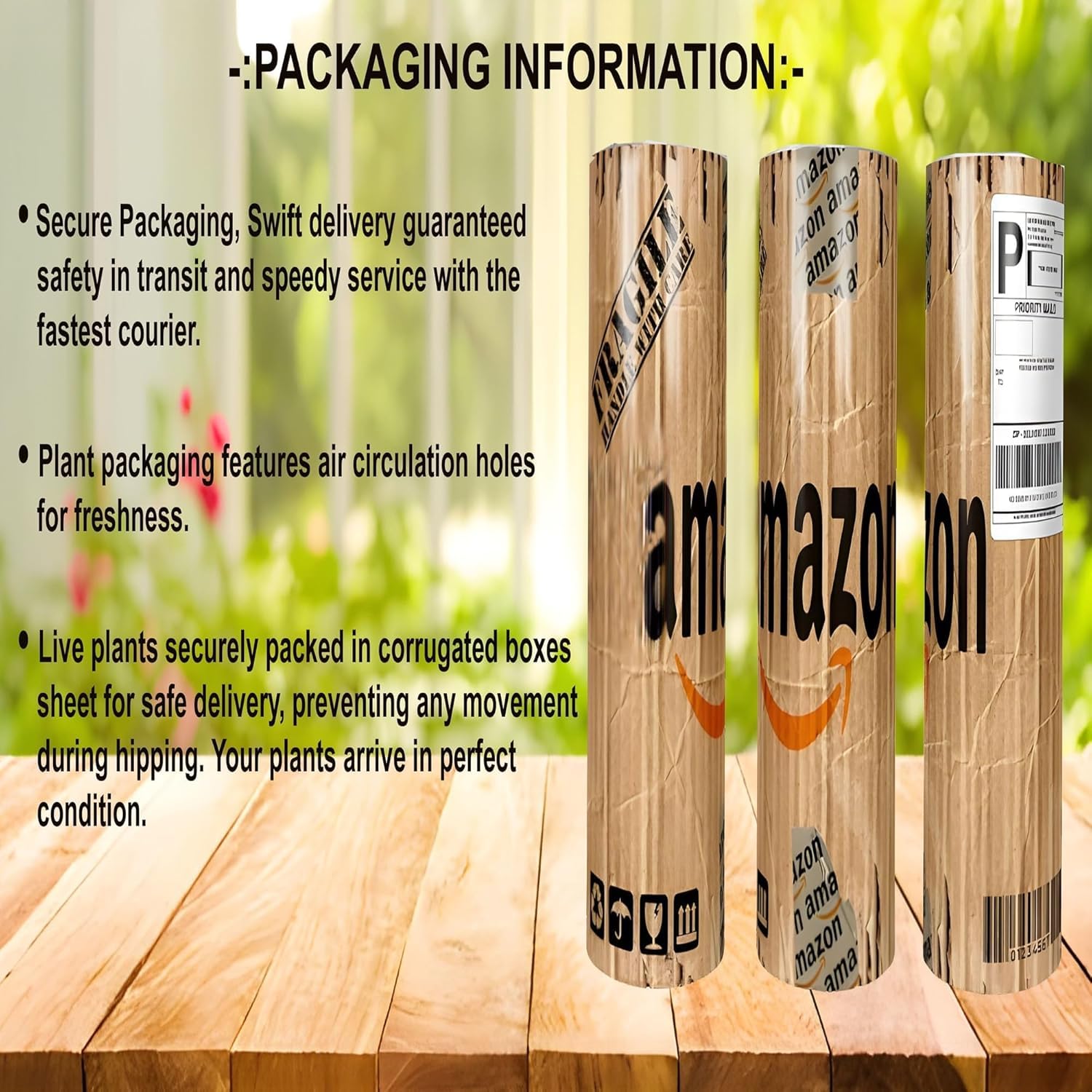 Lotkon Kafai Mooti Fruit Live Plant (1.5-3 Feet Height)