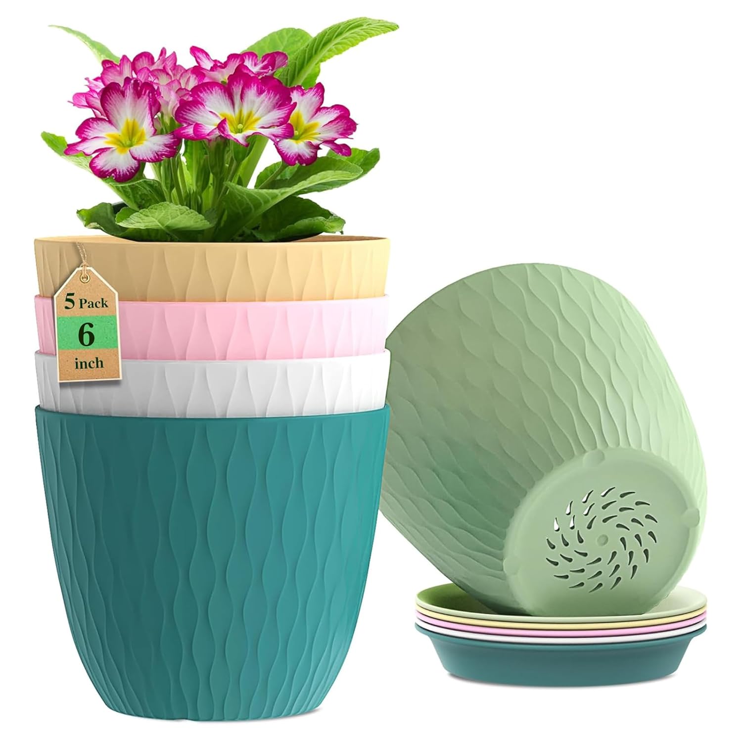 Eightiz (Pack of 5 6 Inch Plastic Flower Pots for Indoor & Outdoor Terrace,Garden Plants Decorative Planters with Drainage Holes & Matching Saucers Durable & Lightweight (Multicolour)
