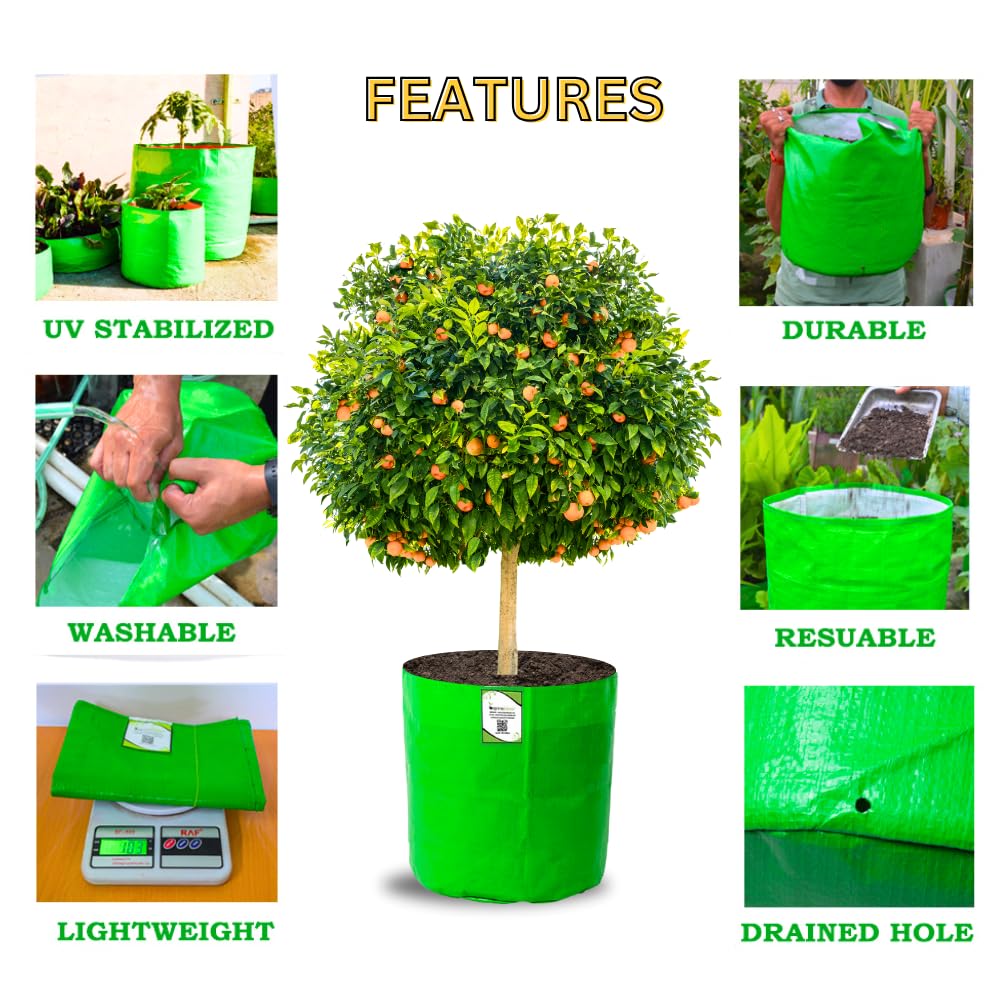 Seeds Ville HDPE Grow Bag for Fruit Trees 61x61 cm
