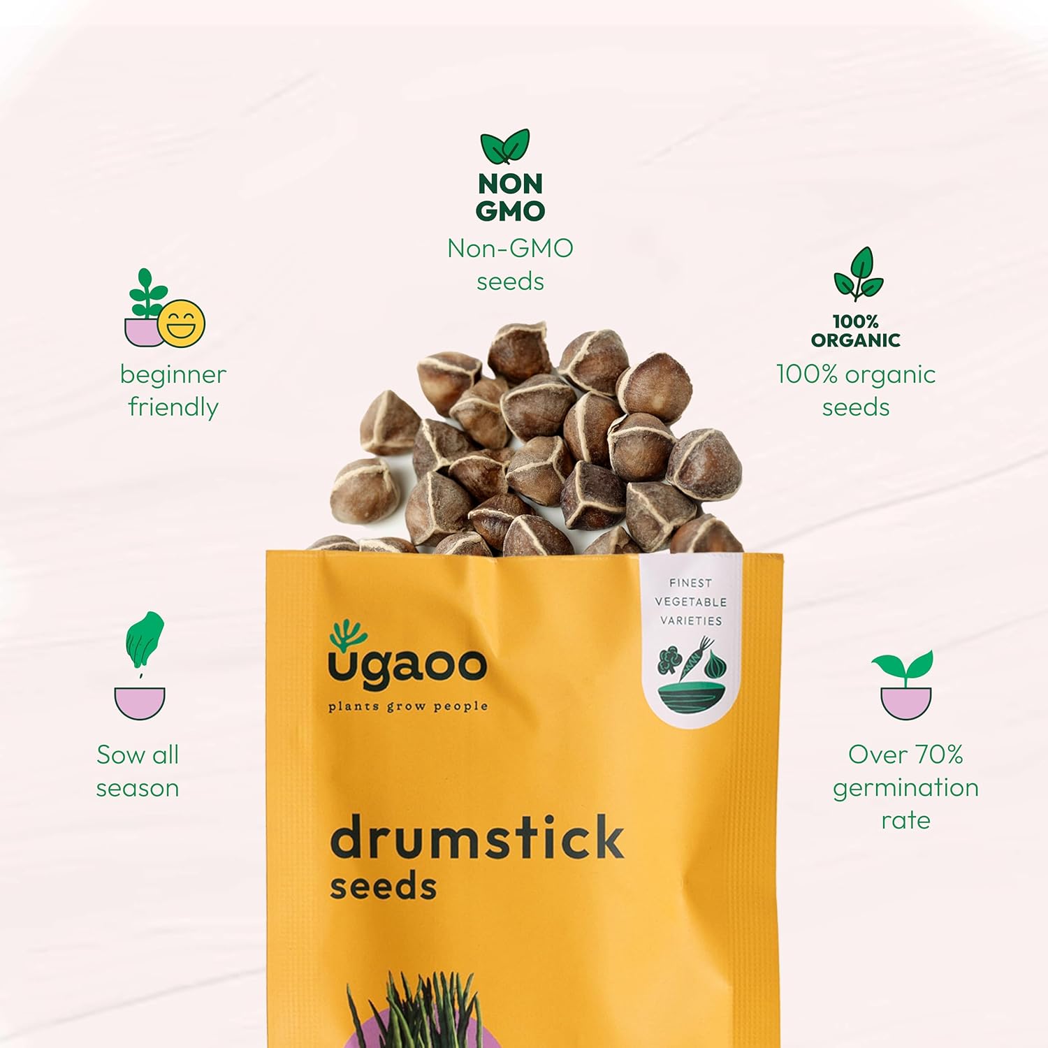 UGAOO Drumstick Moringa Vegetable Seeds (Green, Pack of 10g)