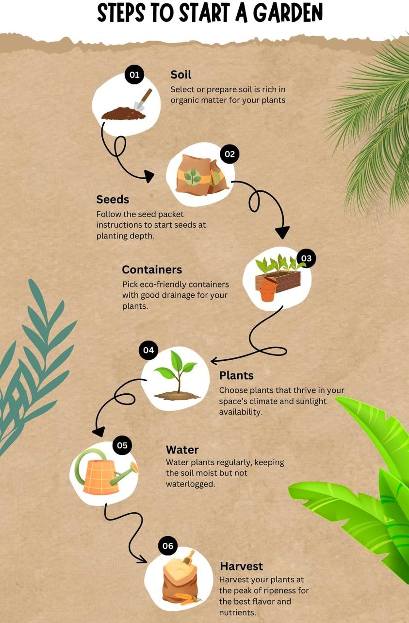 Exotic Dwarf Fruit Seeds Combo - 60 Seeds Total (20x Mulberry, 20x Blueberry, 20x Strawberry) | All Season, Easy to Grow for Balcony, Indoor, and Outdoor Home Garden in India - Seeds Ville