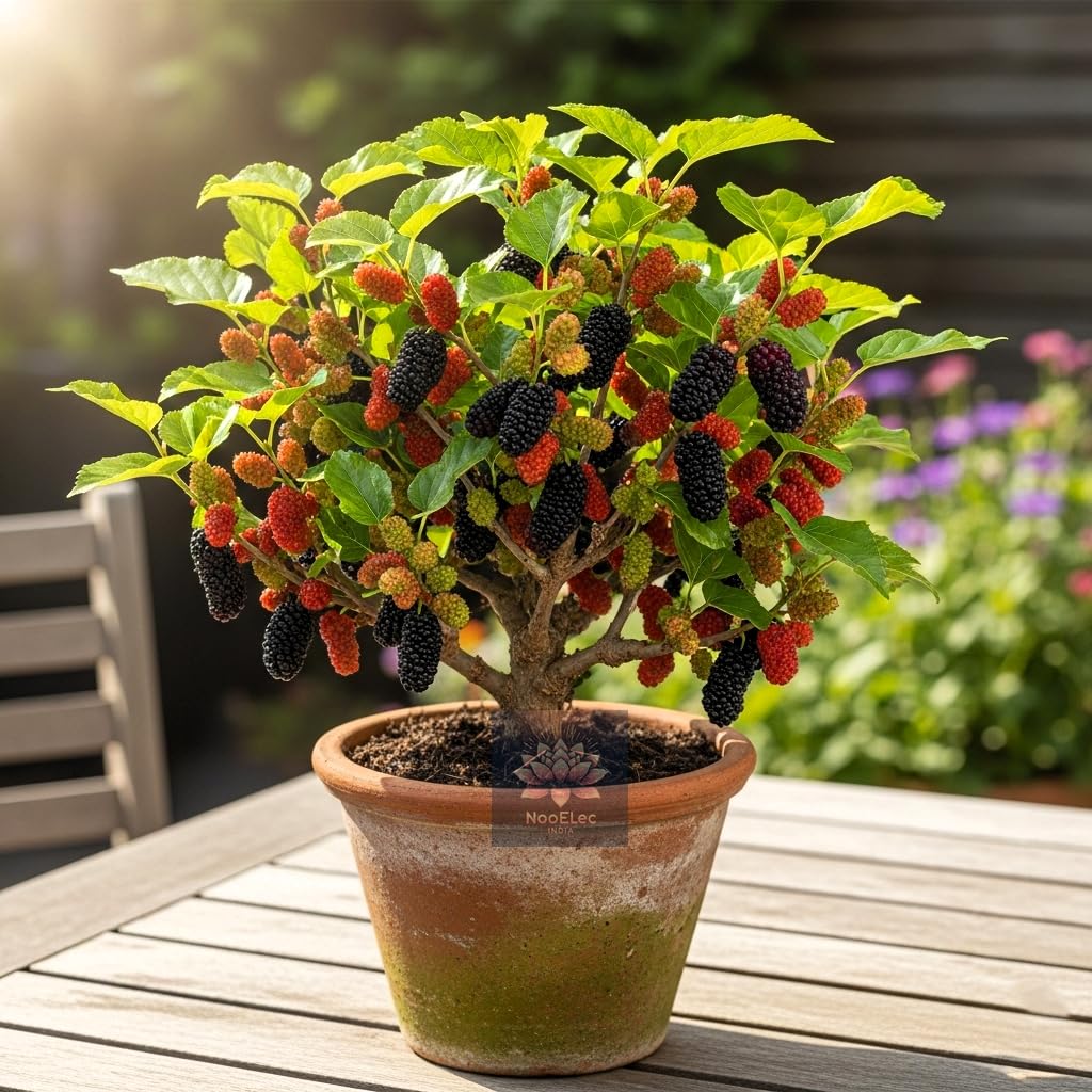 Dwarf Fruit Seeds Combo - Mulberry, Blueberry, Strawberry (60+ Seeds) - Easy to Grow Indoors & Outdoors - Seeds Ville
