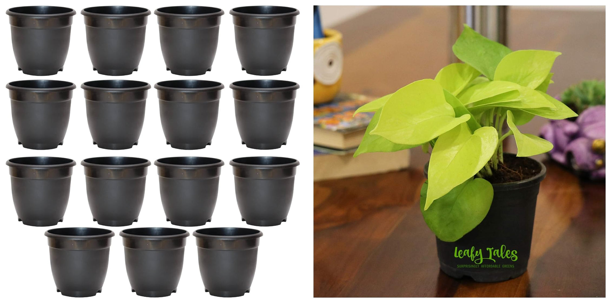 Leafy Tales Plastic Pots for Gardening,Nursery pots, Black Colour 4 inch Size, Pack of 30