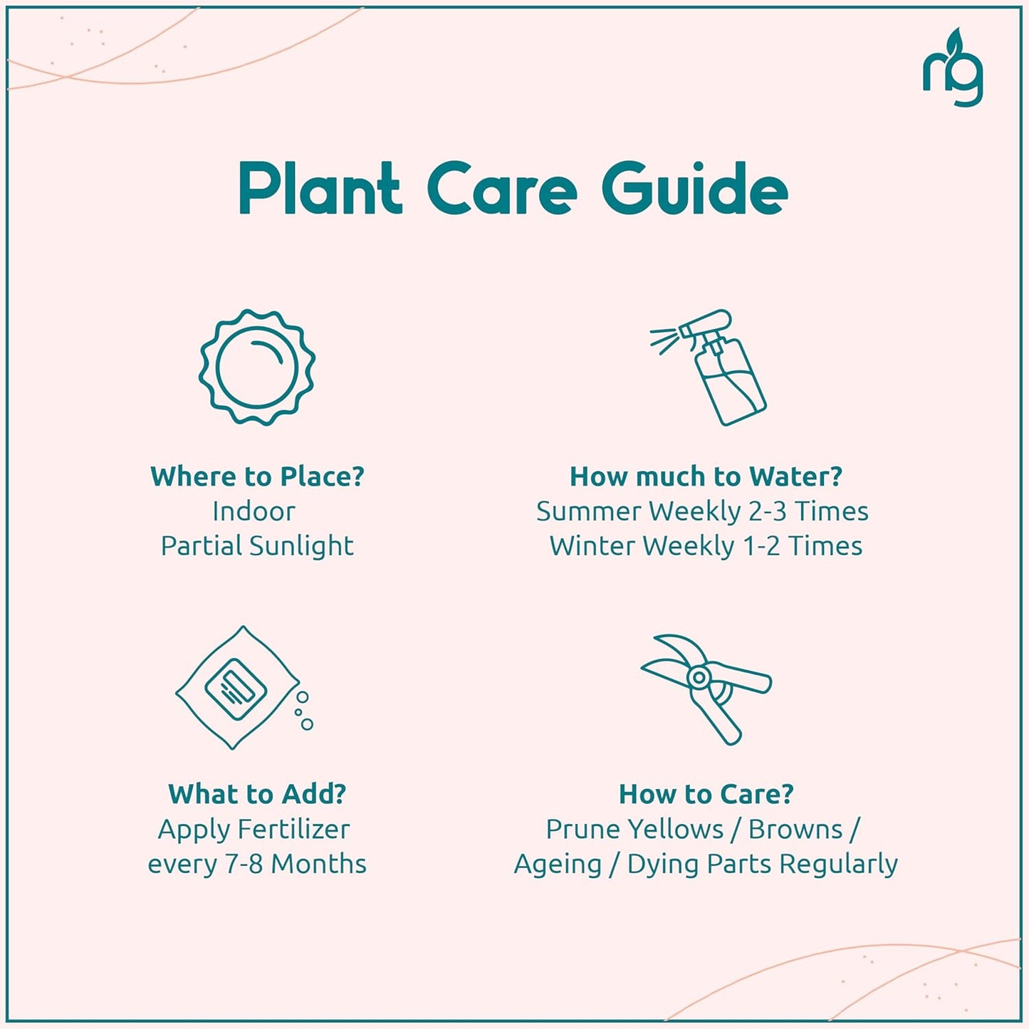 Nurturing Green® Combo of 2 Live Indoor Plants (Aglaonema Lady Valentine & Syngonium Pink) in Ivory Self Watering Pots