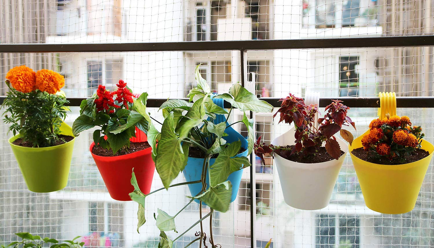 Plastic Hanging Planters 5 Pcs (8 Inch, Multicolor) | Flower Hanging Pots for Home & Balcony Garden | Hanging Planters for Home Plants | Hooked Hanging Pots