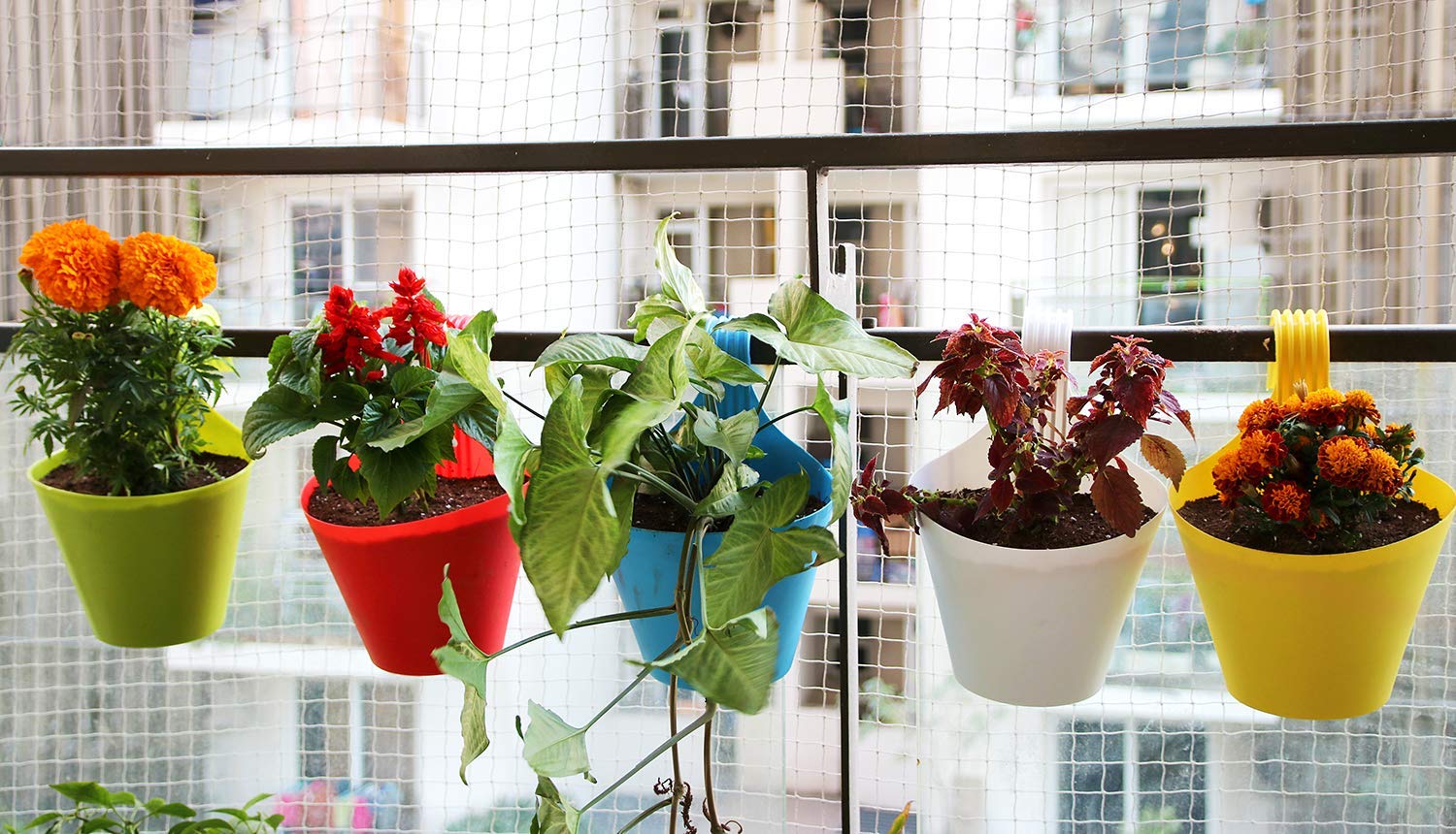 Plastic Hanging Planters 5 Pcs (8 Inch, Multicolor) | Flower Hanging Pots for Home & Balcony Garden | Hanging Planters for Home Plants | Hooked Hanging Pots