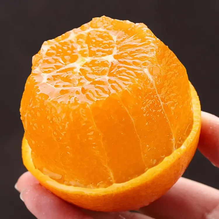 Organic Jelly Orange Seeds - Grow Your Own Sweet, Vibrant Citrus Fruit at Home