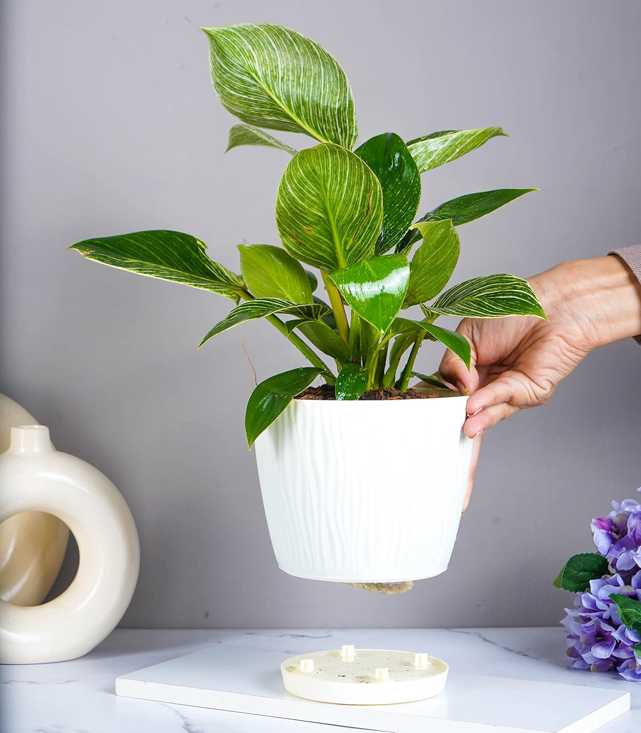 3 size plant pots Nurturing Green® Set of 3 Self Watering Pots for Home, Decor & Garden –  Seeds Ville