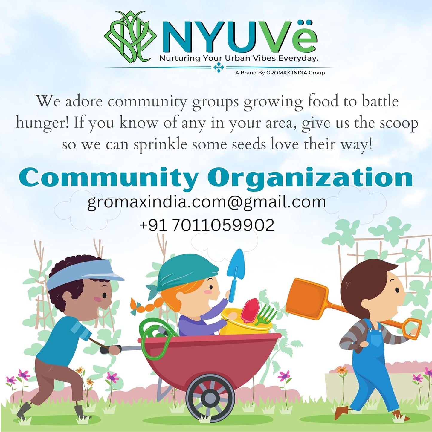 Squash Green zucchini Seed Hybrid Long Zuchhini Vegetable Seeds Best For Your Home Gardening - Seeds Ville