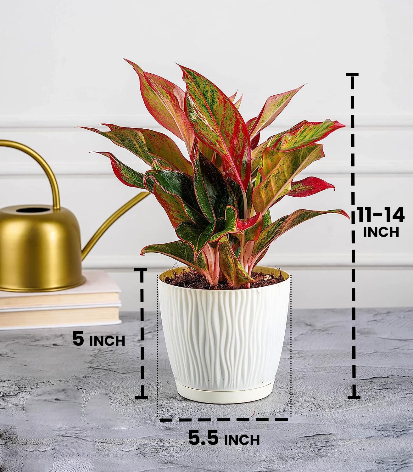 are plastic pots good for indoor plants Nurturing Green® Set of 3 Self Watering Pots for Home, Decor & Garden –  Seeds Ville